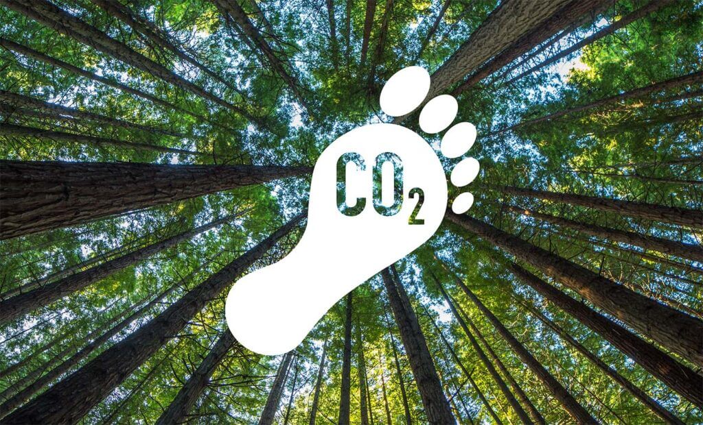 A white footprint with CO2 written in the middle, showing a forested background